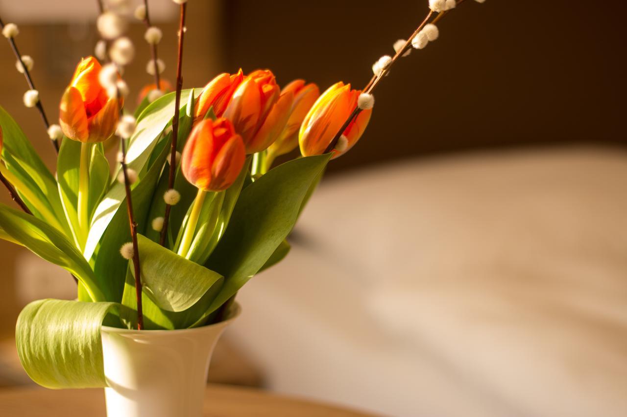 Hotel Heldt Bad Pyrmont Luaran gambar